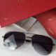 2017 Replica Cartier Sunglasses - Exact Replica (7)_th.jpg